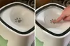 A split image showing a pet water bowl. The left side shows the bowl filled with water and a paw print design. The right side shows a finger pressing down on the paw print area of the bowl. Anteprima dell’immagine prodotto