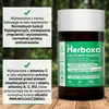 Herboxa LUNGWORT z 550mg miodunki plamistej - Zawiera kwas Podgląd zdjęcia produktu 2