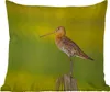 MuchoWow® Outdoor Kissen - Vogel - Tiere - Uferschnepfe - Produktbild-Vorschau 1