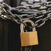 ABUS 806-384 Kłódka EC 75/40, kolor mosiądz/srebrny Podgląd zdjęcia produktu 5