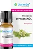 Bioherba Ätherisches reines Zypressenöl 10 ml Produktbild-Vorschau 1