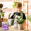 Mola, Komfort Ręcznik papierowy, 1 rolka Náhled obrázku produktu 4