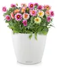 LECHUZA plantpot CLASSICO, kleur 70, wit | Plantpot met Productafbeelding-voorbeeld 15