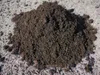 Terre pour Lavande Compo - 10L - Spécialiste - Nutriments Voir les images du produit 4