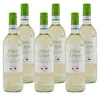Laurenza Pinot Grigio DOC -trocken- (6 x 0,75L) Produktbild-Vorschau 1
