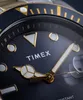 Zegarek  Timex TW2V42000 srebrny Podgląd zdjęcia produktu 9