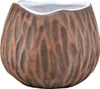 Verde Mate, Yaguar - Mate Tee Set Frutos Tropicales, Produktbild-Vorschau 2