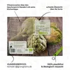 Artischocken Samen (Imperial Star) - Artischocke Saatgut Produktbild-Vorschau 5