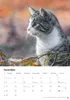 Katzen Kalender 2027 Produktbild-Vorschau 4