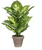 Mica Decorations Dieffenbachia Kunstpflanze im Blumentopf Produktbild-Vorschau 1