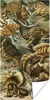 MuchoWow® Poster Lacertilia - Alte Meister - Kunst 60x120 Produktbild-Vorschau 1