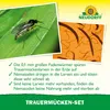Neudorff Neudorff Trauermücken-Set – 5 Mio. SF-Nematoden Produktbild-Vorschau 4
