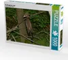 Calvendo Die Neugierde siegt 1000 Teile Puzzle quer Produktbild-Vorschau 1