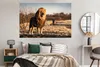 MuchoWow® Poster Löwe - Hügel - Sonne 180x120 cm - Produktbild-Vorschau 4