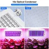 A collage of images showing a new and old version of an LED grow light, and the lights illuminating plants. Podgląd zdjęcia produktu
