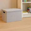 NHG 53850801 NHG Contenitore VEGA FELT STORAGE, feltro, L, Anteprima dell’immagine prodotto 5