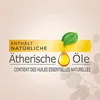 Air Wick Große Duftkerze im Glas Teakholz & Meersalz 480g Produktbild-Vorschau 4