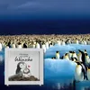 Pinguin Mutter und Kind Rahmen Spardose aus Holz mit Spruch Produktbild-Vorschau 5