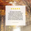 MuchoWow® - Leinwandbilder - Herbst - Wald - Baum, Produktbild-Vorschau 8