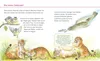 Unkaputtbar: Erstes Wissen: Tiere und ihre Kinder Produktbild-Vorschau 13