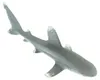 Safari Ltd Oceanic Whitetip Shark Figur Grau From 3 Years Produktbild-Vorschau 4