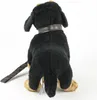 Dackel 28 cm Kuscheltier Hund schwarz-braun mit Leine Produktbild-Vorschau 5