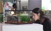 Repti-Zoo Terrarium AK 21x31x15 Repti-Zoo Produktbild-Vorschau 6