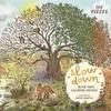 Chronicle Books Puzzle Zpomal... 100 dílků Produktbild-Vorschau 5