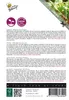 Miscela di bietole arcobaleno | Microgreens di Buzzy Seeds Anteprima dell’immagine prodotto 3