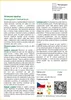 SAFLAX - hrnková bavlna - Gossypium herbaceum - 12 Semena - Náhled obrázku produktu 3