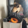 Hundespielzeug Set Unzerstörbar Interaktiv Ziehspielzeug Produktbild-Vorschau 5