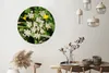 MuchoWow® Aluminium Wandkreis Foto einer einsamen Produktbild-Vorschau 2