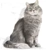 Royal Canin Sensible 33 - Taille : 400 g Voir les images du produit 5