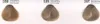 Goldwell Topchic The Blondes, Blond, 10P, Pastel Pearl Produktbild-Vorschau 2