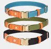 Hundeleine & Halsband Set aus Nylon mit Leder – robust, Produktbild-Vorschau 4
