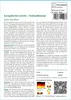 SAFLAX - Europäische Lärche - Larix decidua - 75 Samen Produktbild-Vorschau 3