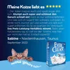 Ever Clean, extra sterke, klonterende kattenbakvulling, 10 Productafbeelding-voorbeeld 6