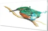 Glasbilder 140x70 Wandkunst Bunte bemalte Papagei Produktbild-Vorschau 1