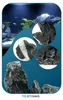 Rocce per Acquario Dark Rock 1 kg, pietre naturali per Anteprima dell’immagine prodotto 10