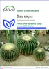 SAFLAX - židle tchyně - Echinocactus grusonii - 40 Semena Náhled obrázku produktu 1