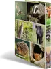 HERMA 2D bosdieren, A4-formaat, zelfklevend, karton, Productafbeelding-voorbeeld 7