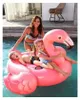 Intex RideOn Flamingo - aufblasbares Produktbild-Vorschau 3