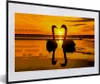 MuchoWow® Gerahmtes Poster Schwäne - Sonnenuntergang - Produktbild-Vorschau 1