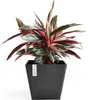 Permapack Ecopots Rotterdam, Topfpflanzer, Freistehend, Produktbild-Vorschau 2