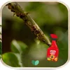 Insektenspray Polysect - 750 ml - gegen Schädlinge - Produktbild-Vorschau 7