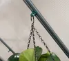 A close-up view of a hanging plant in a greenhouse. Voir les images du produit