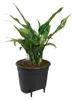 ELHO Inserto auto-irrigante 17 cm Anteprima dell’immagine prodotto 2