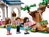 LEGO® Friends 41447 Městský park Heartlake Náhled obrázku produktu 21