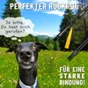 GIZZY® 2x Hundepfeife lauter & weitreichender Pfeifton I Produktbild-Vorschau 2