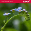 Kipon Iberit 50/2.4 Vollformat Fuji X Náhled obrázku produktu 5